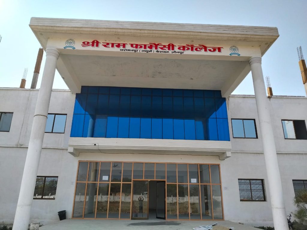 Every kindergarten through sixth grade student enjoys a core syllabus of language arts, mathematics, science and social studies.