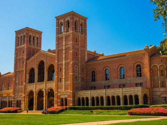 image_2025-02-03_154541399