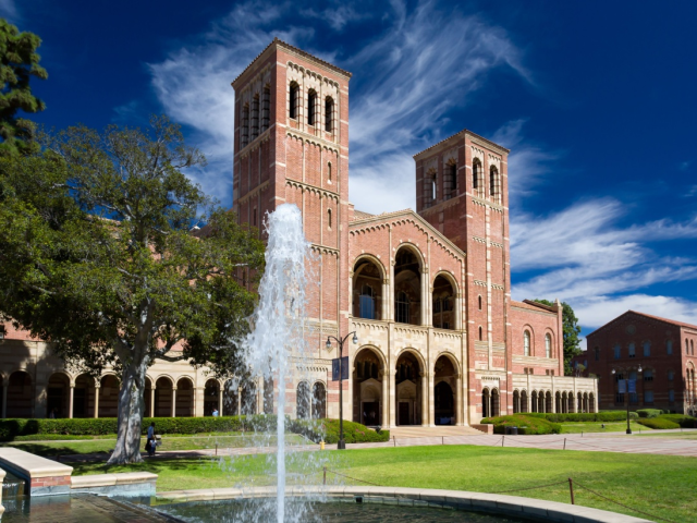 image_2025-02-03_155434216